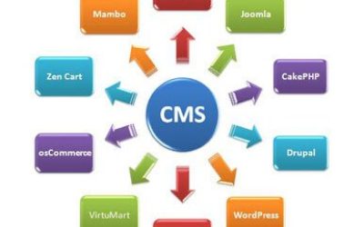 cms-web-development